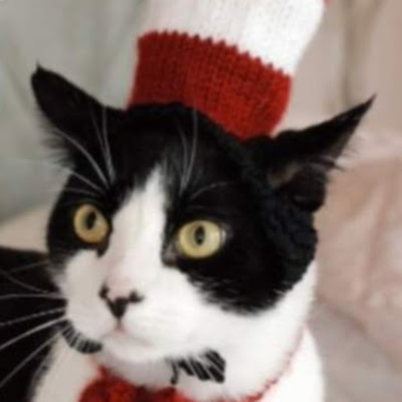 Meet your Posher, Cristina - Picture 1 of 1